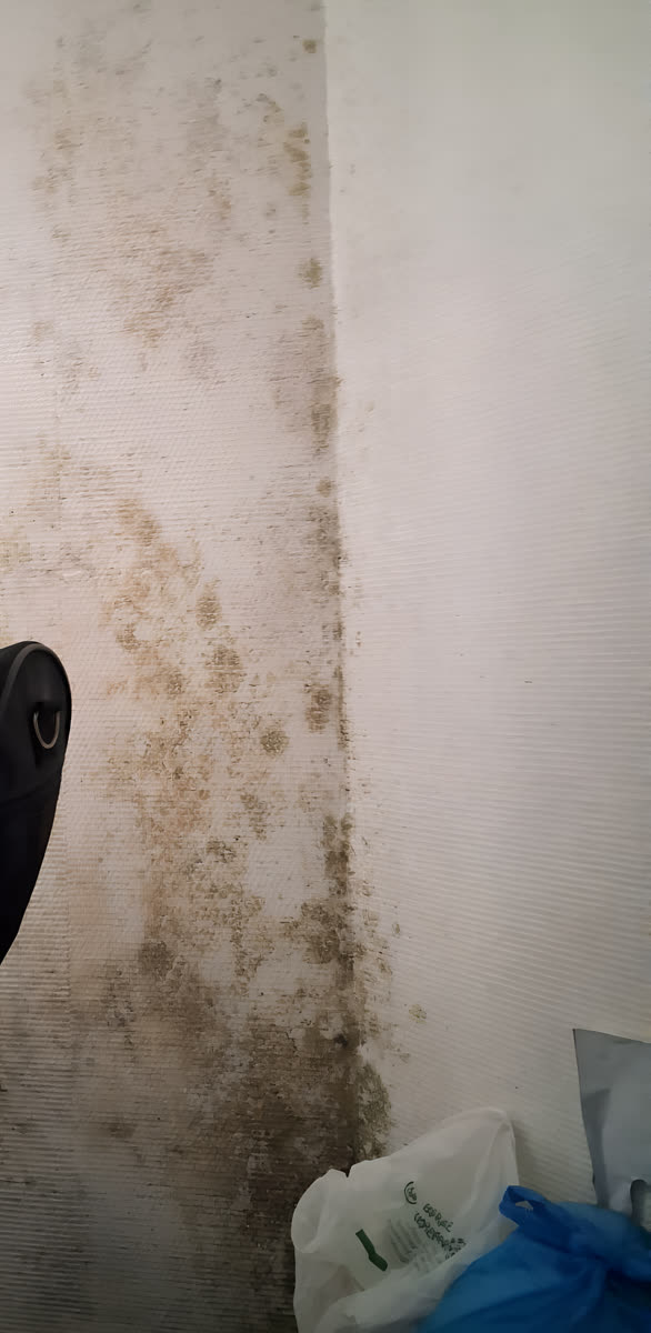 Grand mur couvert de moisissures et de traces d'humidité, angle de pièce