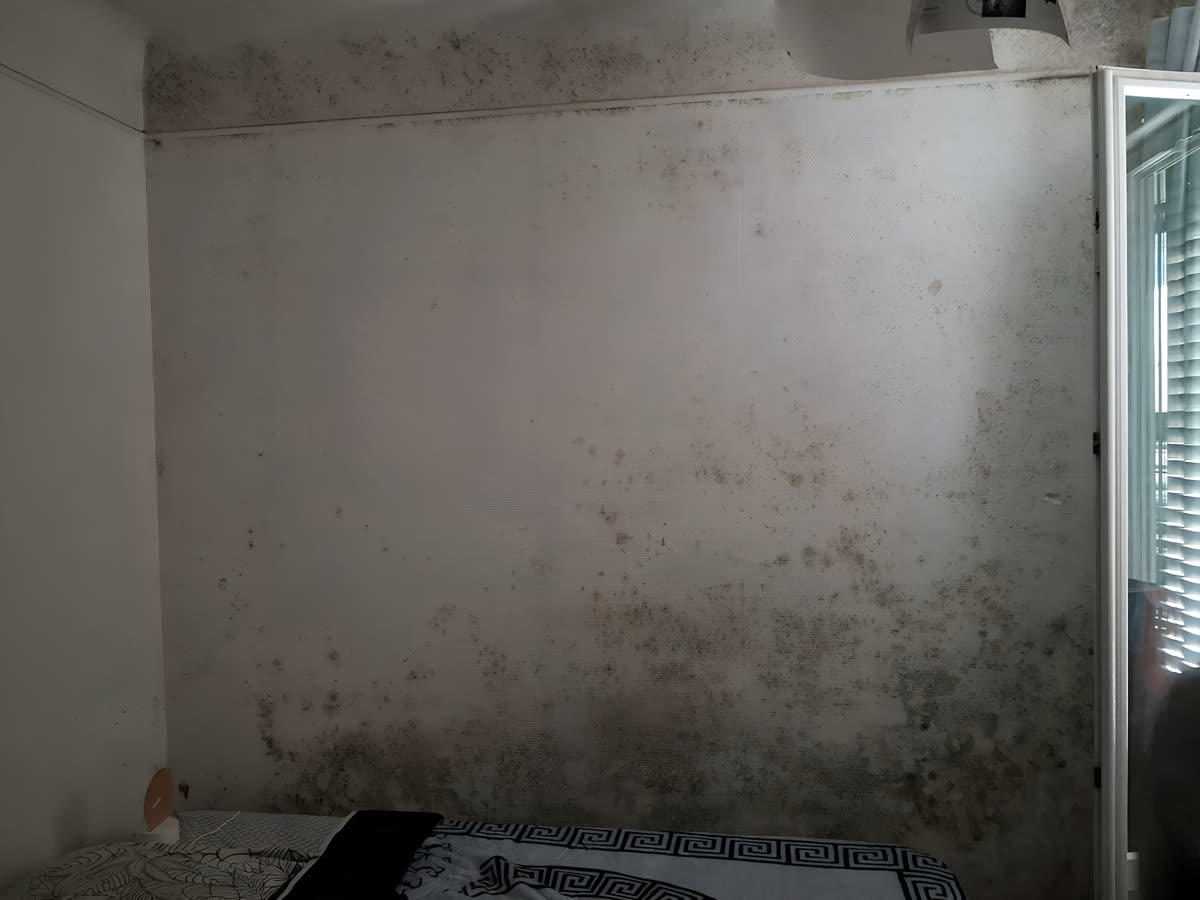 Mur de chambre couvert de moisissures, humidité persistante dans la maison